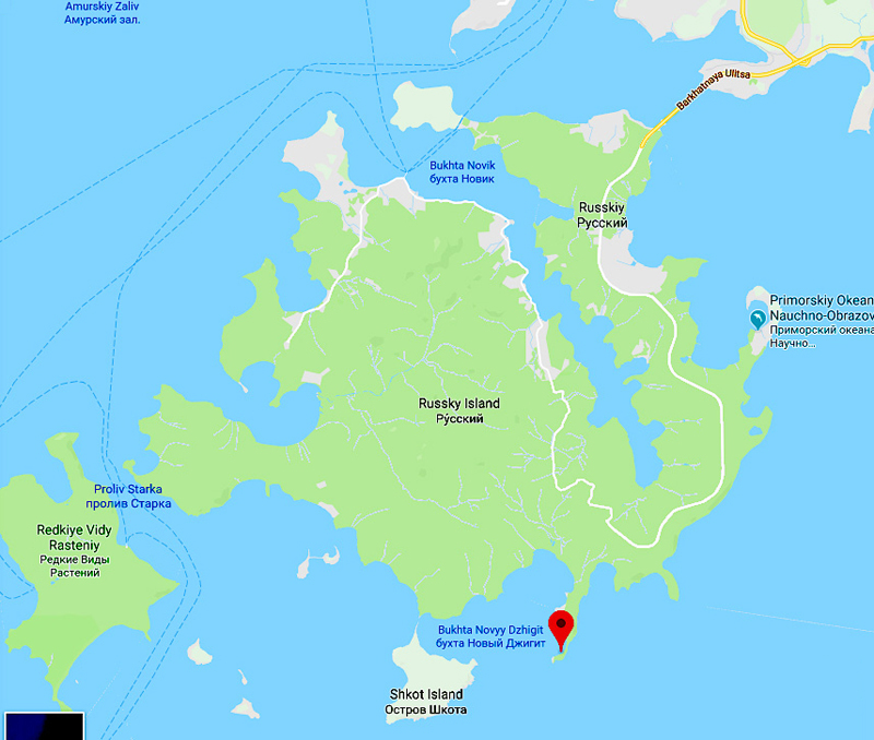 Карта острова русский с названиями бухт и дорогами